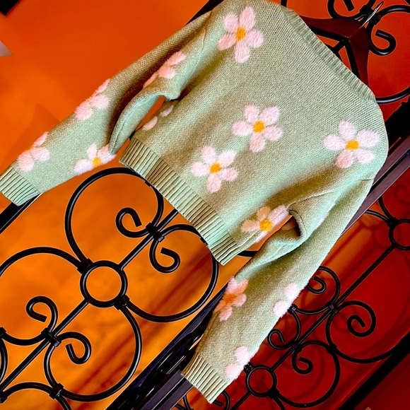 NWT Daisy Days Sweater by L.A. HEARTS - Picture 4 of 8